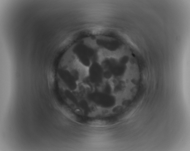 X0000114190691200910091232