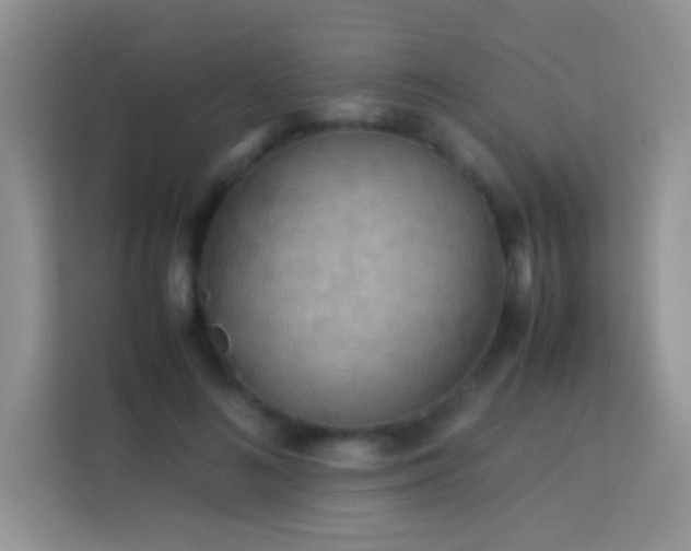 X0000114190692200910091232
