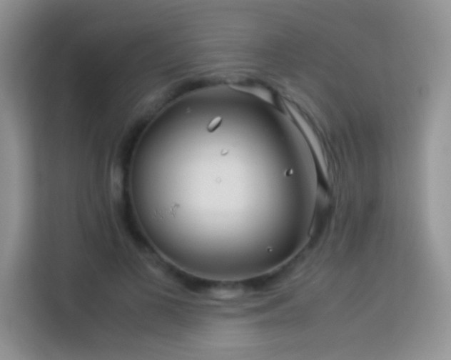 X0000114190693200910091232