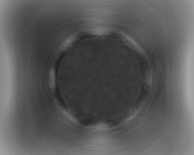 X0000114190696200910091232