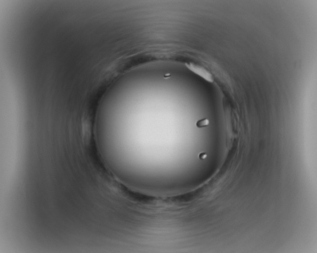 X0000114190697200910091232