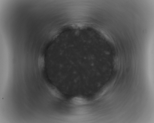 X0000114190699200910091232