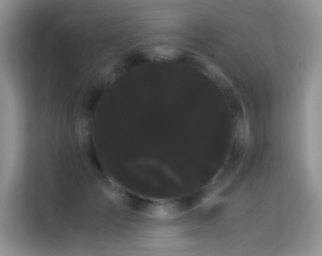 X0000114190701200910091232