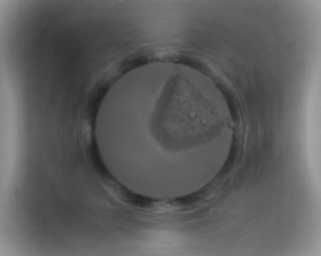 X0000114190703200910091232