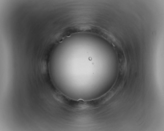 X0000114190704200910091232
