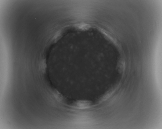 X0000114190707200910091232