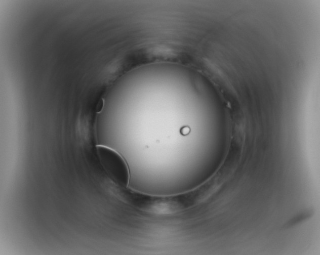 X0000114190708200910091232