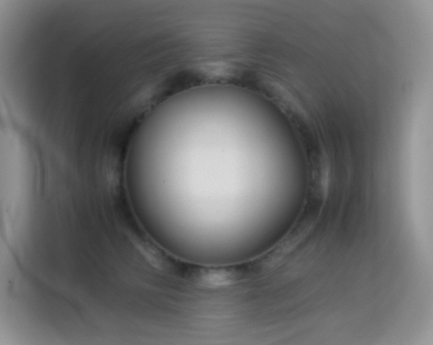 X0000114190710200910091232