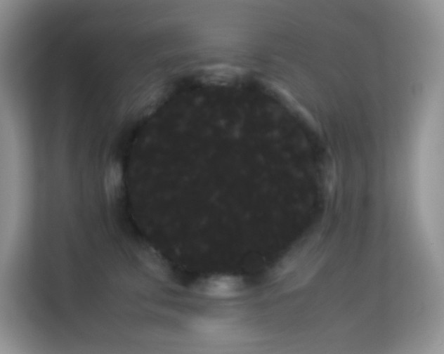 X0000114190711200910091232