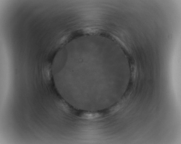 X0000114190712200910091232