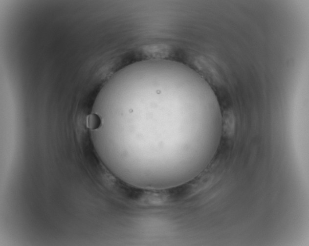X0000114190713200910091232