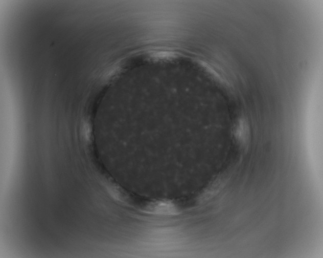 X0000114190715200910091232