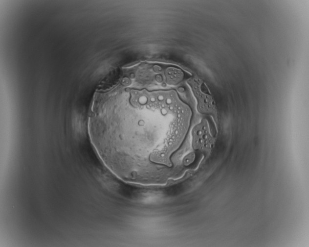 X0000114190719200910091232