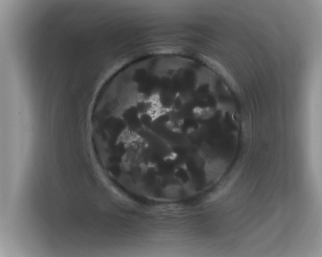 X0000114190721200910091231