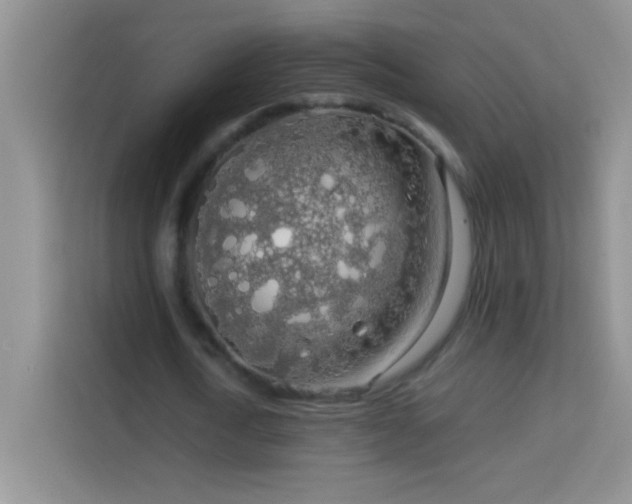 X0000114190722200910091231