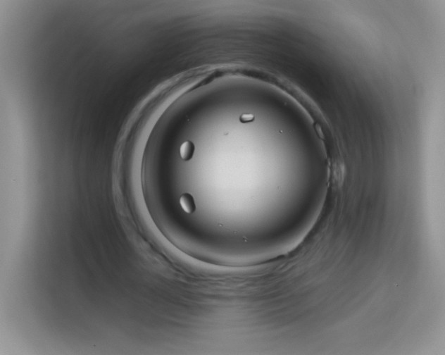 X0000114190724200910091231