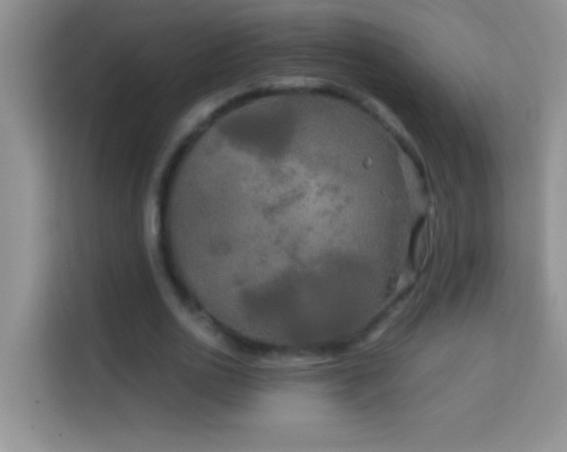 X0000114190726200910091231