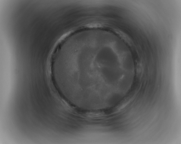 X0000114190727200910091231