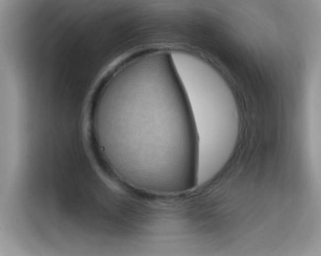 X0000114190728200910091231