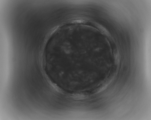 X0000114190729200910091231