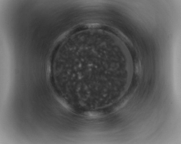 X0000114190733200910091232