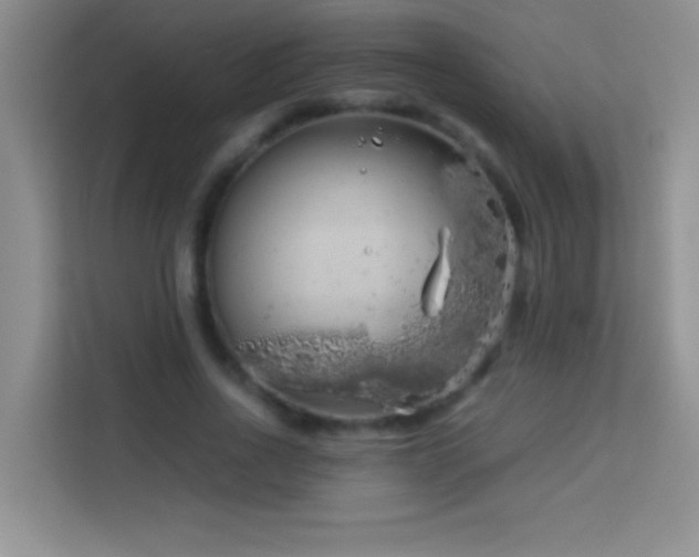 X0000114190734200910091232