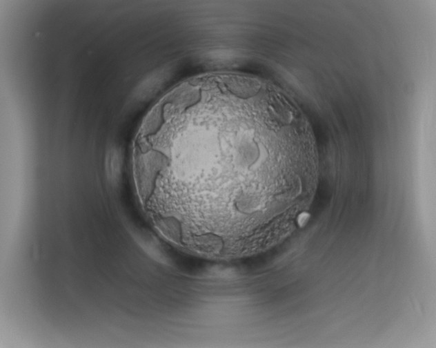 X0000114190742200910091232
