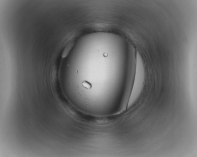 X0000114190744200910091232