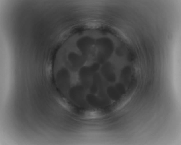 X0000114190745200910091232