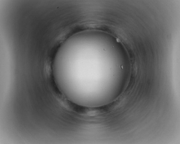X0000114190746200910091232