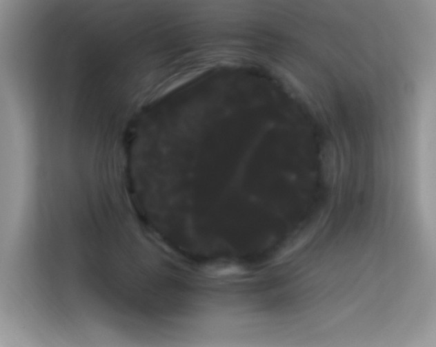 X0000114190747200910091232