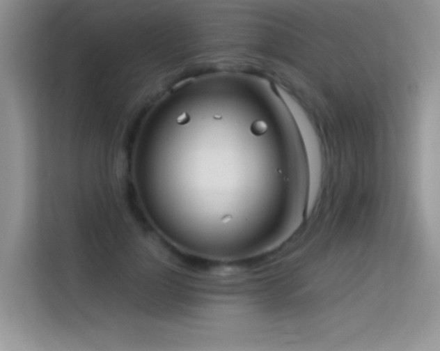 X0000114190748200910091232