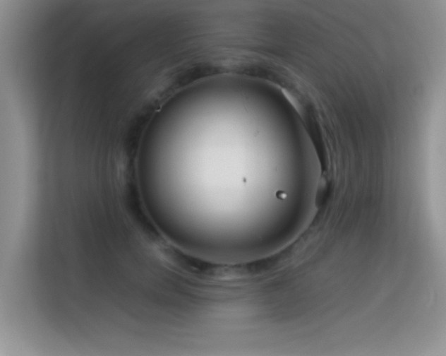 X0000114190750200910091232