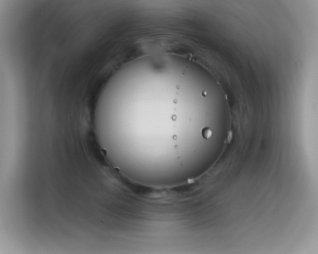 X0000114190752200910091232