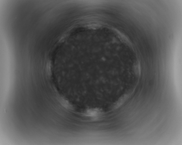 X0000114190757200910091232