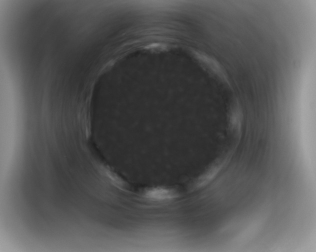 X0000114190759200910091232