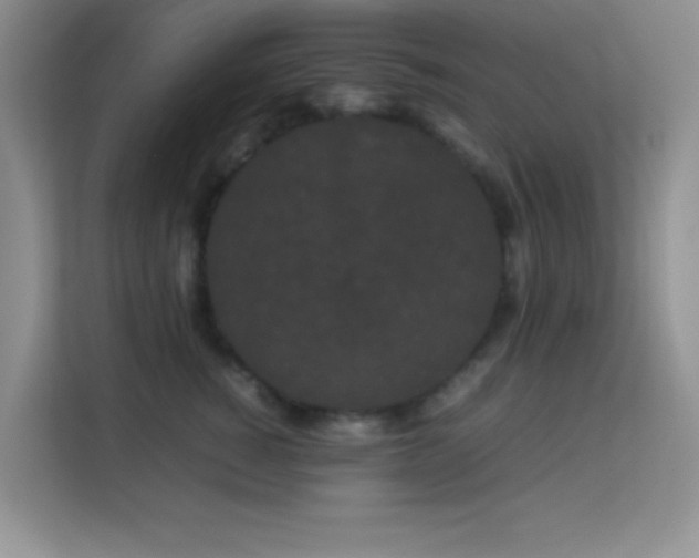 X0000114190760200910091232