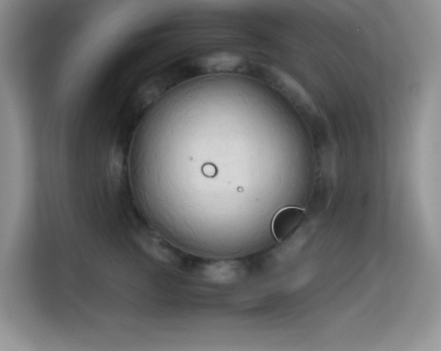 X0000114190761200910091232