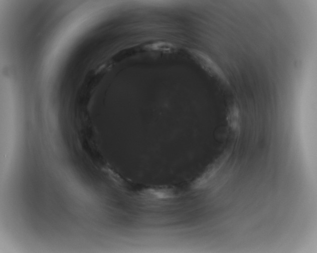 X0000114190763200910091232