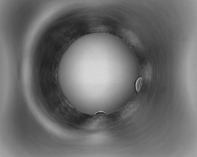 X0000114190764200910091232