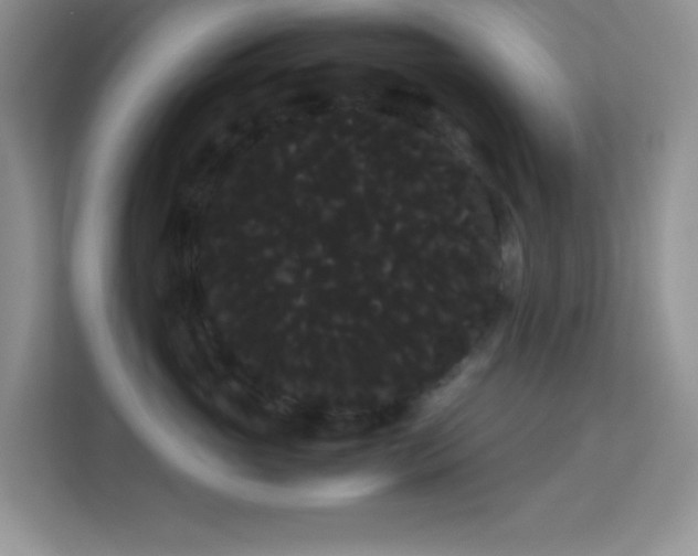 X0000114190765200910091232