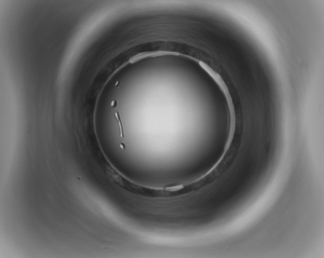 X0000114190766200910091232