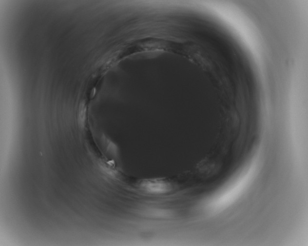 X0000114190767200910091232