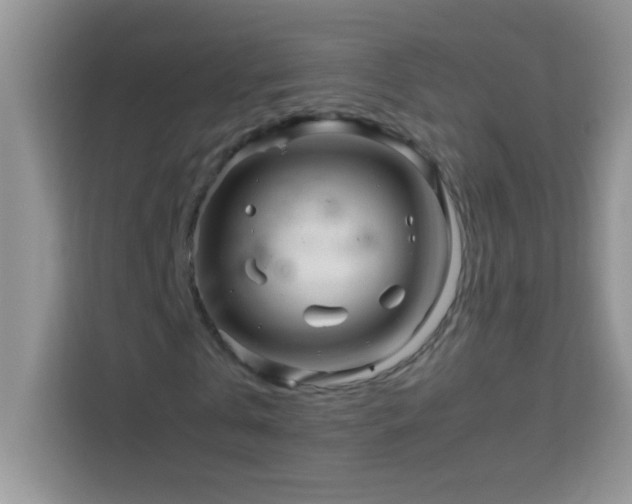X0000114190769200910091231