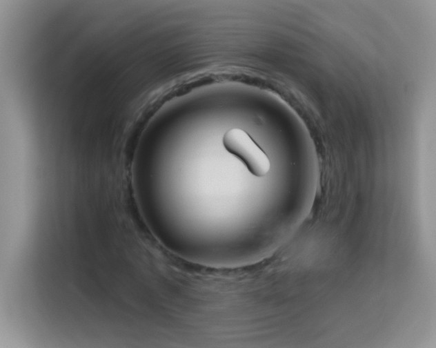 X0000114190773200910091231