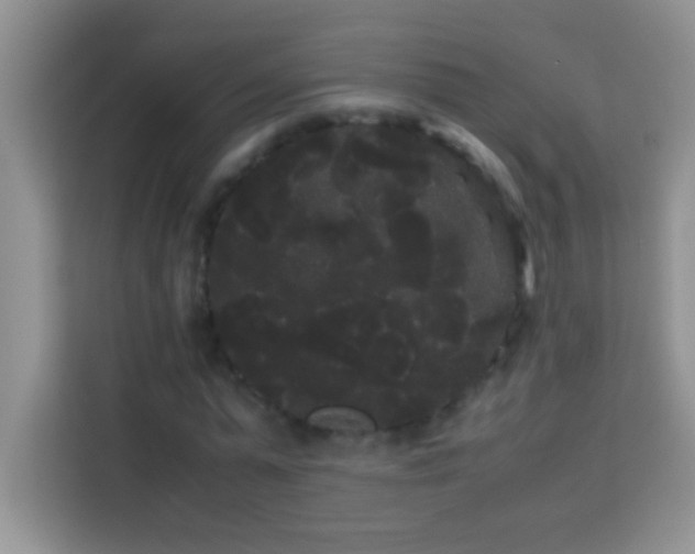 X0000114190775200910091231