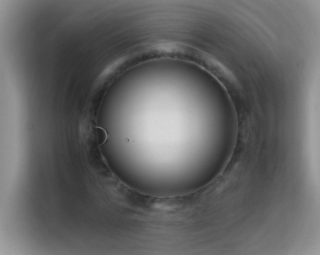 X0000114190776200910091231