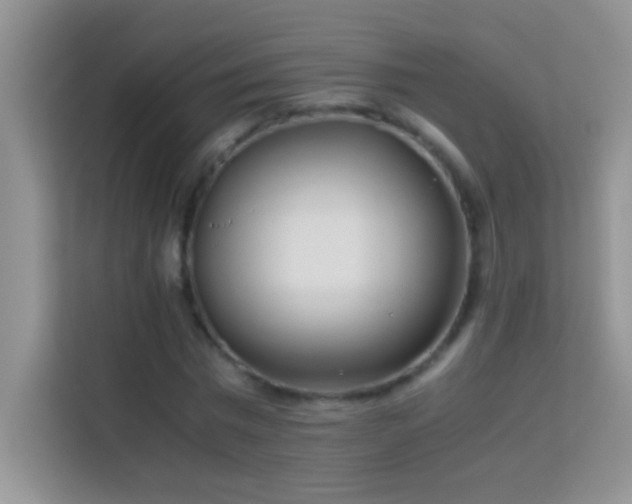 X0000114190777200910091231