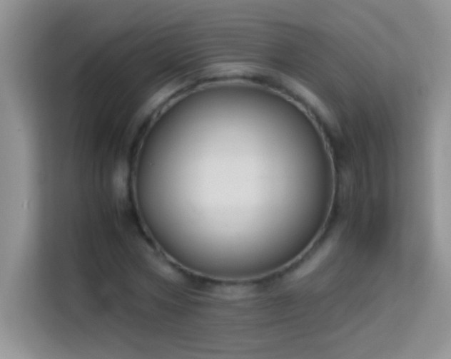 X0000114190778200910091231