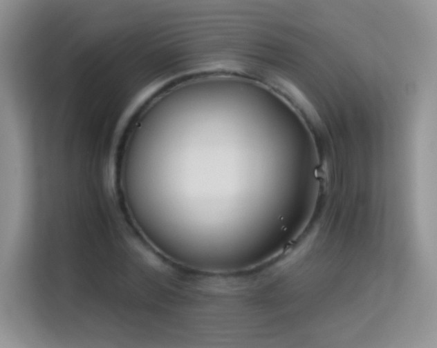 X0000114190780200910091231